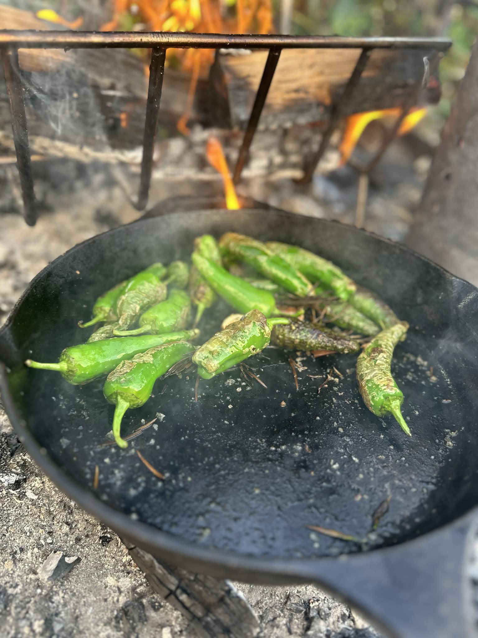 Corporate event catering and team building BBQ experiences in Cornwall